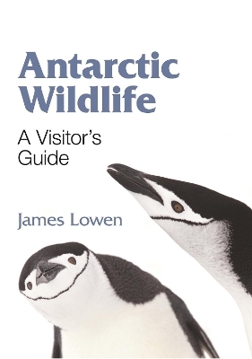 Antarctic Wildlife - James Lowen