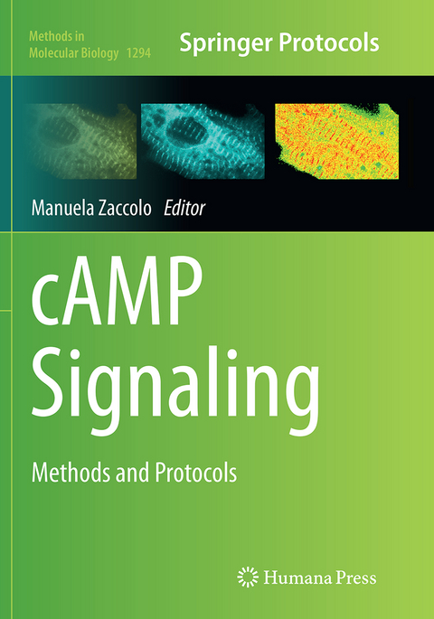 cAMP Signaling - 