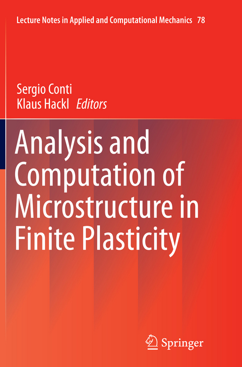 Analysis and Computation of Microstructure in Finite Plasticity - 