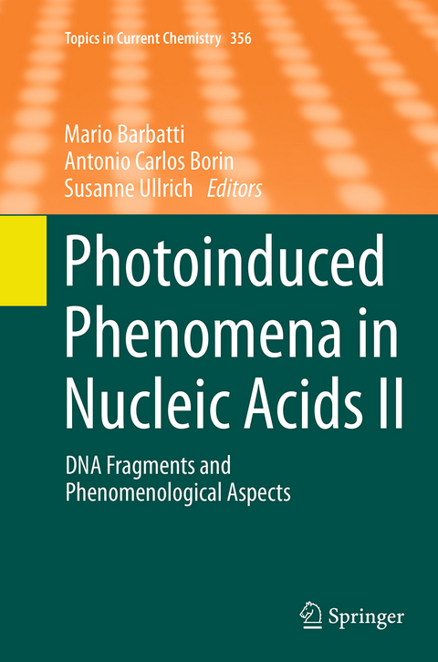 Photoinduced Phenomena in Nucleic Acids II - 