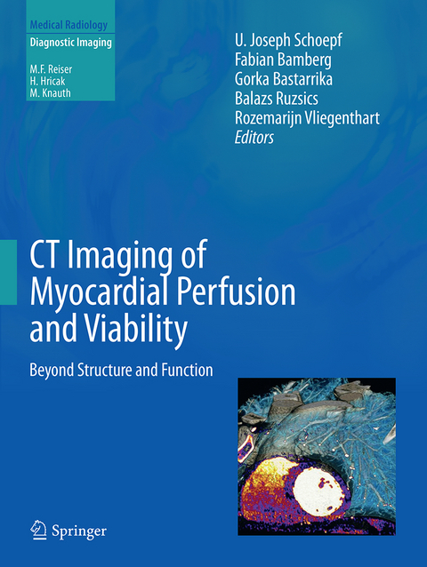 CT Imaging of Myocardial Perfusion and Viability - 