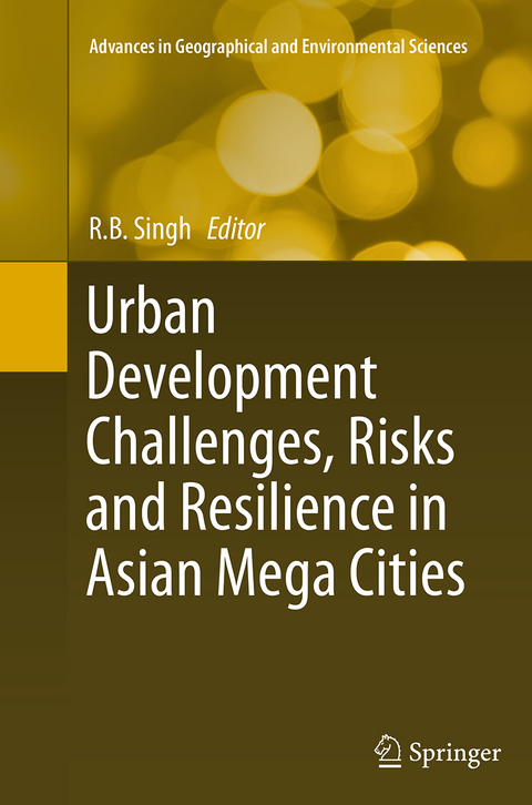 Urban Development Challenges, Risks and Resilience in Asian Mega Cities - 