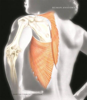 Human Anatomy with Clinical Issues in Anatomy plus Access to Human Anatomy Place and Anatomy360 CD-ROM - Frederic H. Martini, Michael J. Timmons, Robert B. Tallitsch,  Med & Bill &amp Sci Illustration;  Claire