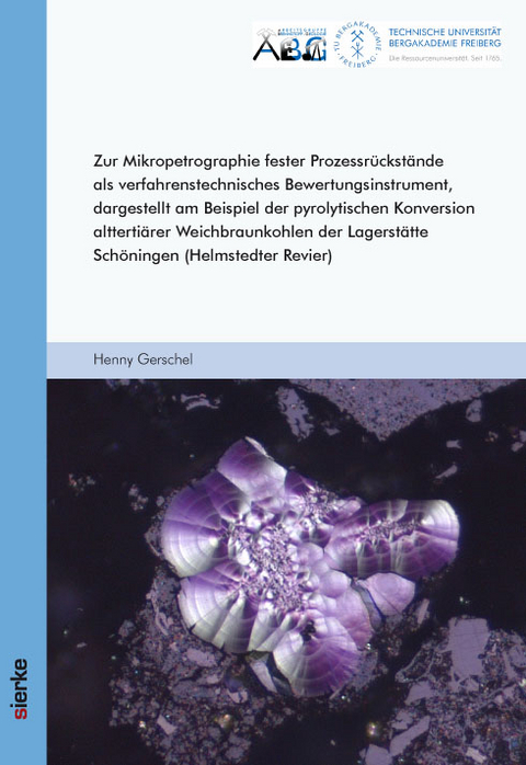 Zur Mikropetrographie fester Prozessrückstände als verfahrenstechnisches Bewertungsinstrument, dargestellt am Beispiel der pyrolytischen Konversion alttertiärer Weichbraunkohlen der Lagerstätte Schöningen (Helmstedter Revier) - Henny Gerschel