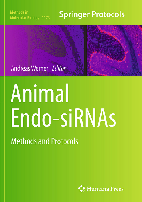 Animal Endo-SiRNAs - 