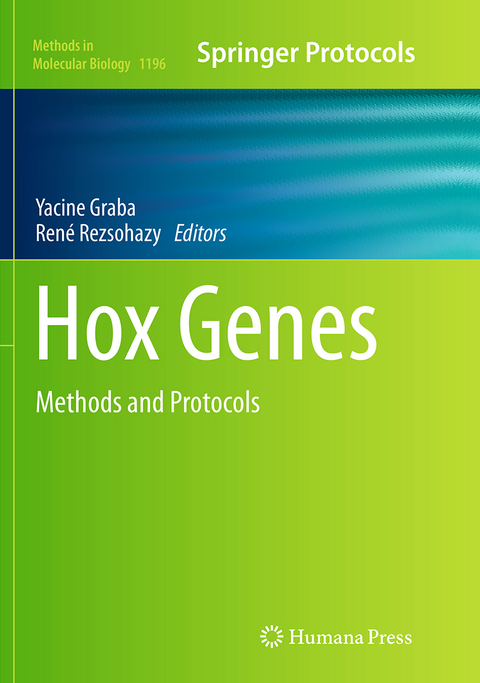 Hox Genes - 