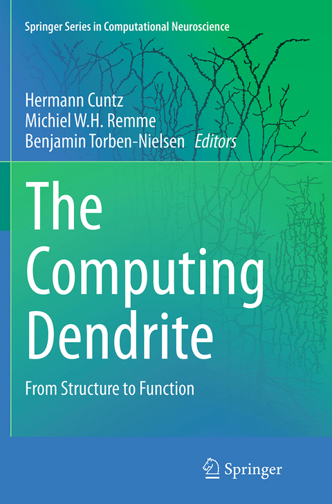 The Computing Dendrite - 