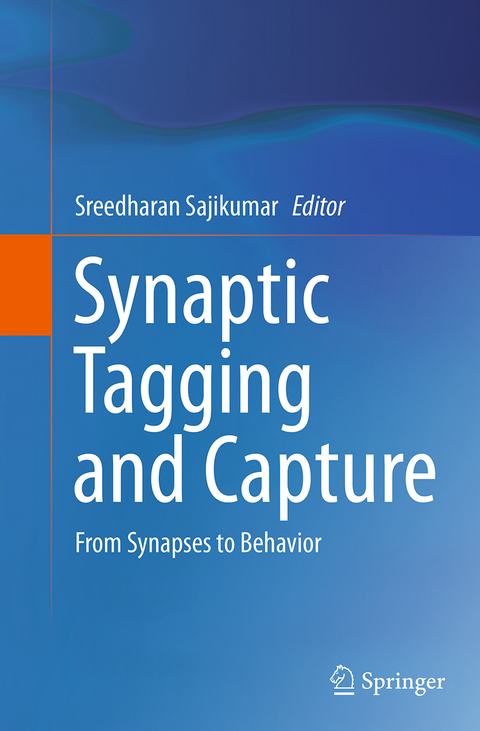 Synaptic Tagging and Capture - 