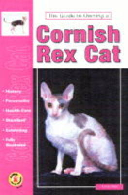 The Guide to Owning a Cornish Rex Cat - Greta Huls