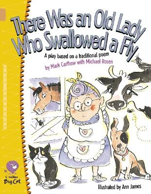 There Was an Old Lady Who Swallowed a Fly - Mark Carthew, Michael Rosen