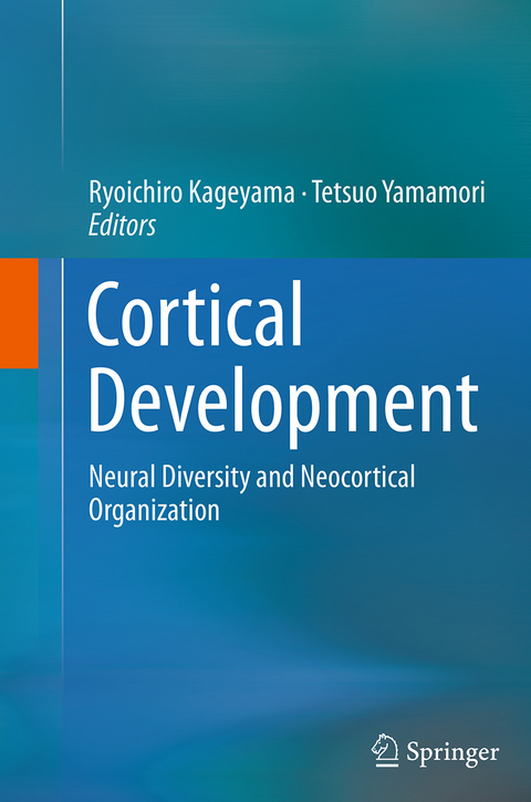 Cortical Development - 