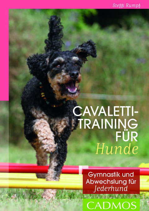 Cavalettitraining für Hunde - Steffi Rumpf