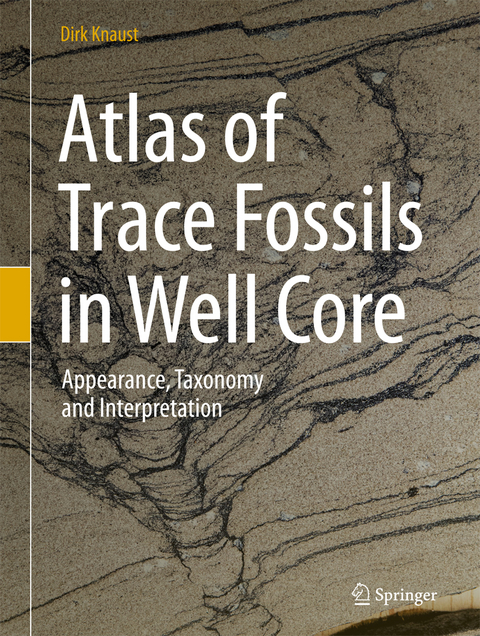 Atlas of Trace Fossils in Well Core - Dirk Knaust