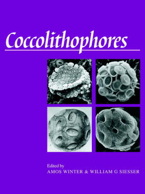 Coccolithophores - 