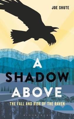 Shadow Above -  Shute Joe Shute