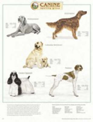 Canine Sporting Group Pl1.5 -  Acc 8709pl1.5