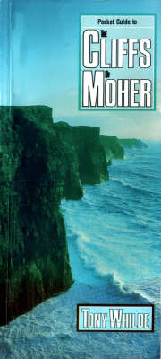 The Cliffs of Moher - Tony Whilde