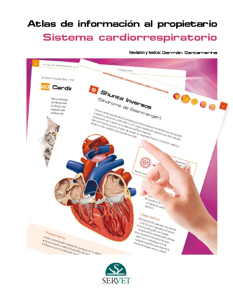 Pet Owner Educational Atlas. Cardiorespiratory system - German Santamaria