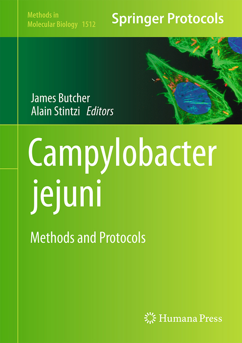 Campylobacter jejuni - 