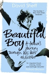 Beautiful Boy -  David Sheff