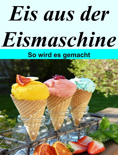 Eis aus der Eismaschine - Angelika Platter