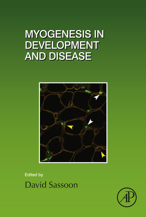 Myogenesis in Development and Disease - 