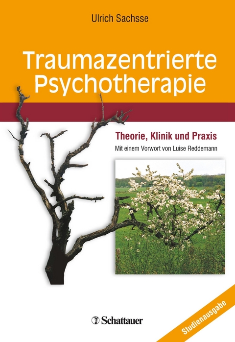 Traumazentrierte Psychotherapie - Professor Ulrich Sachsse