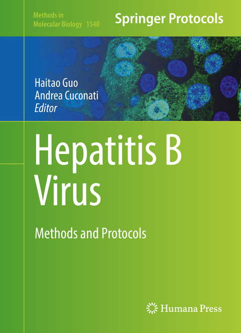 Hepatitis B Virus - 