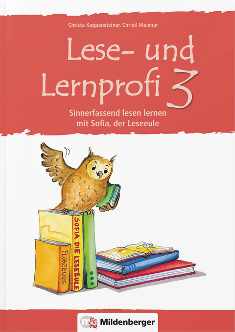 Lese- und Lernprofi 3 – Arbeitsheft - Christa Koppensteiner, Christl Meixner