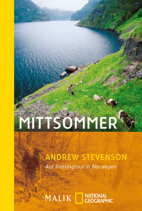 Mittsommer - Andrew Stevenson