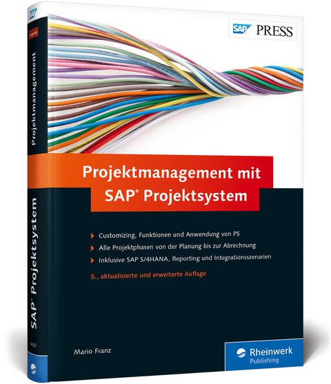 Projektmanagement mit SAP Projektsystem - Mario Franz