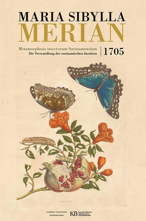 Metamorphosis insectorum Surinamensium - Maria Merian