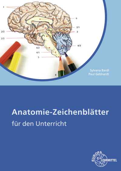 Anatomie Zeichenblätter - Sylvana Bardl