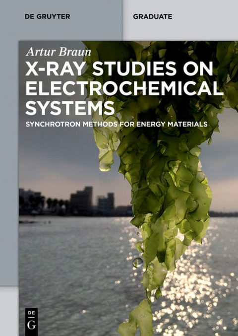 X-Ray Studies on Electrochemical Systems - Artur Braun