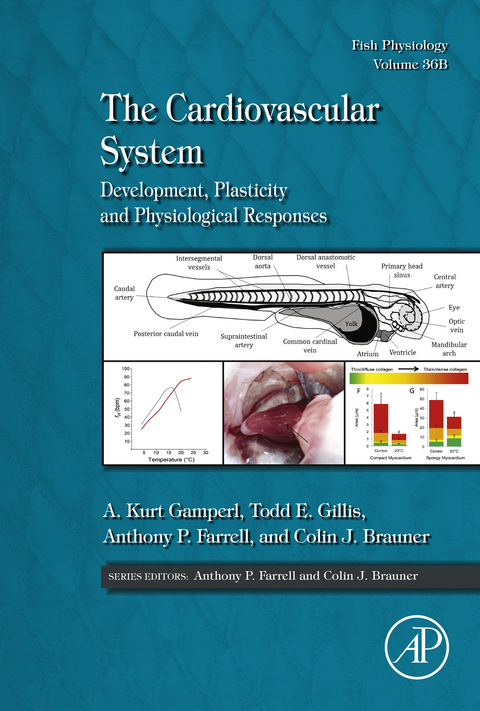 The Cardiovascular System - 