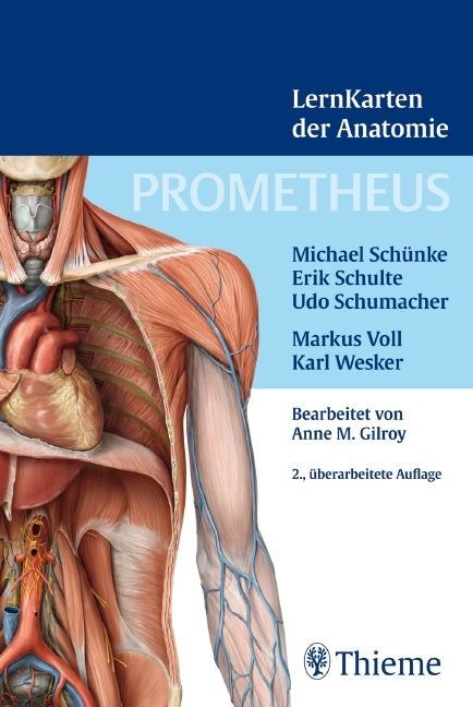 PROMETHEUS LernKarten der Anatomie - Michael Schünke, Udo Schumacher