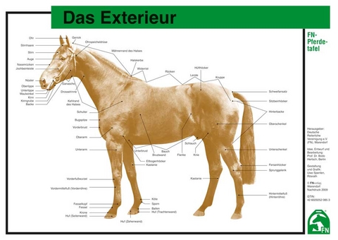 Das Exterieur - 