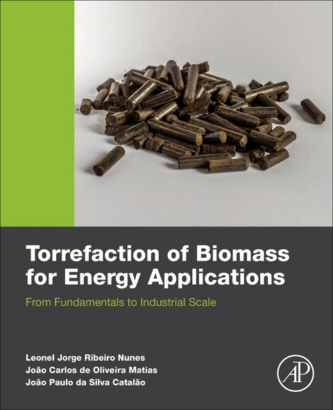 Torrefaction of Biomass for Energy Applications -  Joao Paulo Da Silva Catalao,  Joao Carlos De Oliveira Matias,  Leonel JR Nunes