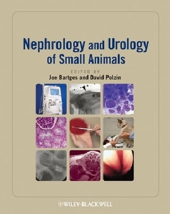 Nephrology and Urology of Small Animals - 