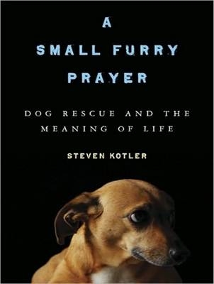 Small Furry Prayer - Steven Kotler