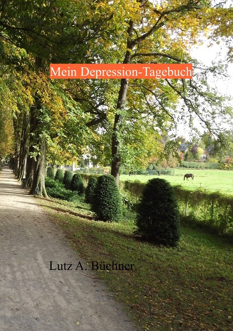 Mein Depression-Tagebuch - Lutz A. Büchner