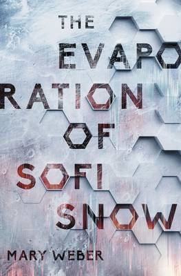 Evaporation of Sofi Snow -  Mary Weber