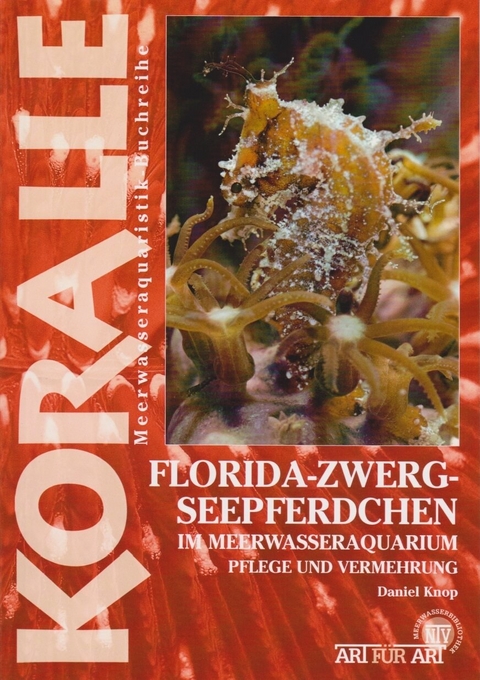 Florida-Zwergseepferdchen im Meerwasseraquarium - Daniel Knop