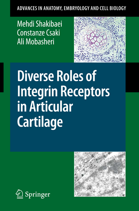 Diverse Roles of Integrin Receptors in Articular Cartilage - Mehdi Shakibaei, Constanze Csaki, Ali Mobasheri