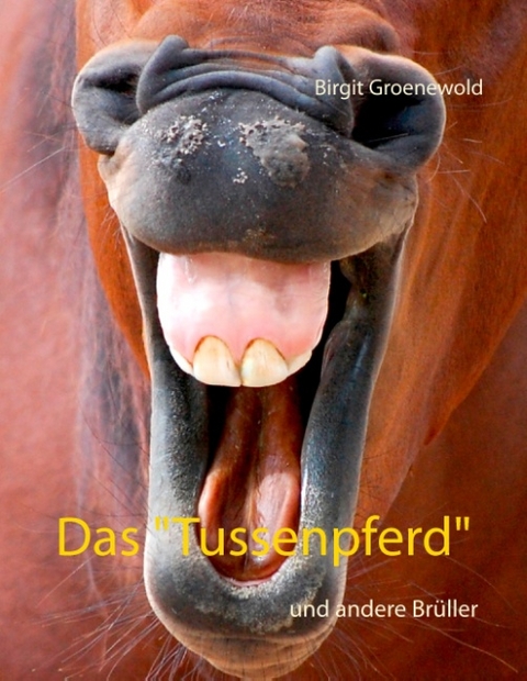 Das "Tussenpferd" - Birgit Groenewold