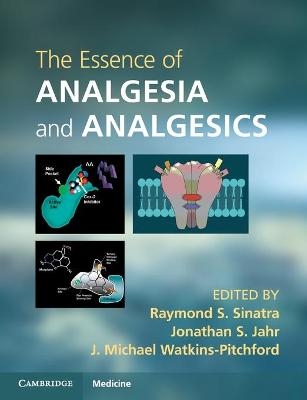 The Essence of Analgesia and Analgesics - 