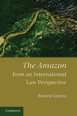 The Amazon from an International Law Perspective - Beatriz Garcia