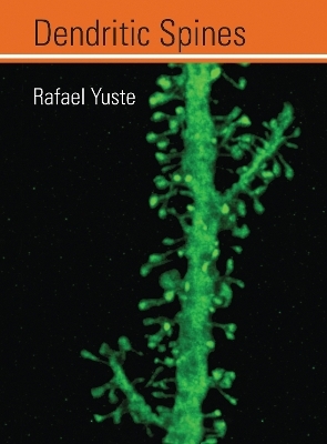 Dendritic Spines - Rafael Yuste