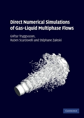 Direct Numerical Simulations of Gas–Liquid Multiphase Flows - Grétar Tryggvason, Ruben Scardovelli, Stéphane Zaleski