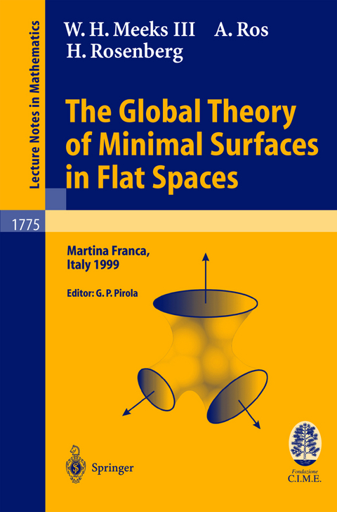 The Global Theory of Minimal Surfaces in Flat Spaces - W.H. III Meeks, A. Ros, H. Rosenberg